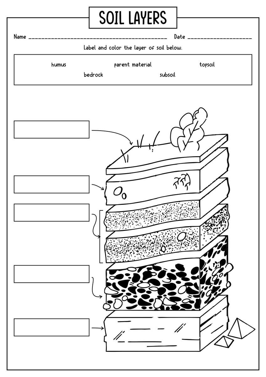 15 Worksheets On Layers Of Soil Free PDF At Worksheeto Worksheets Library
