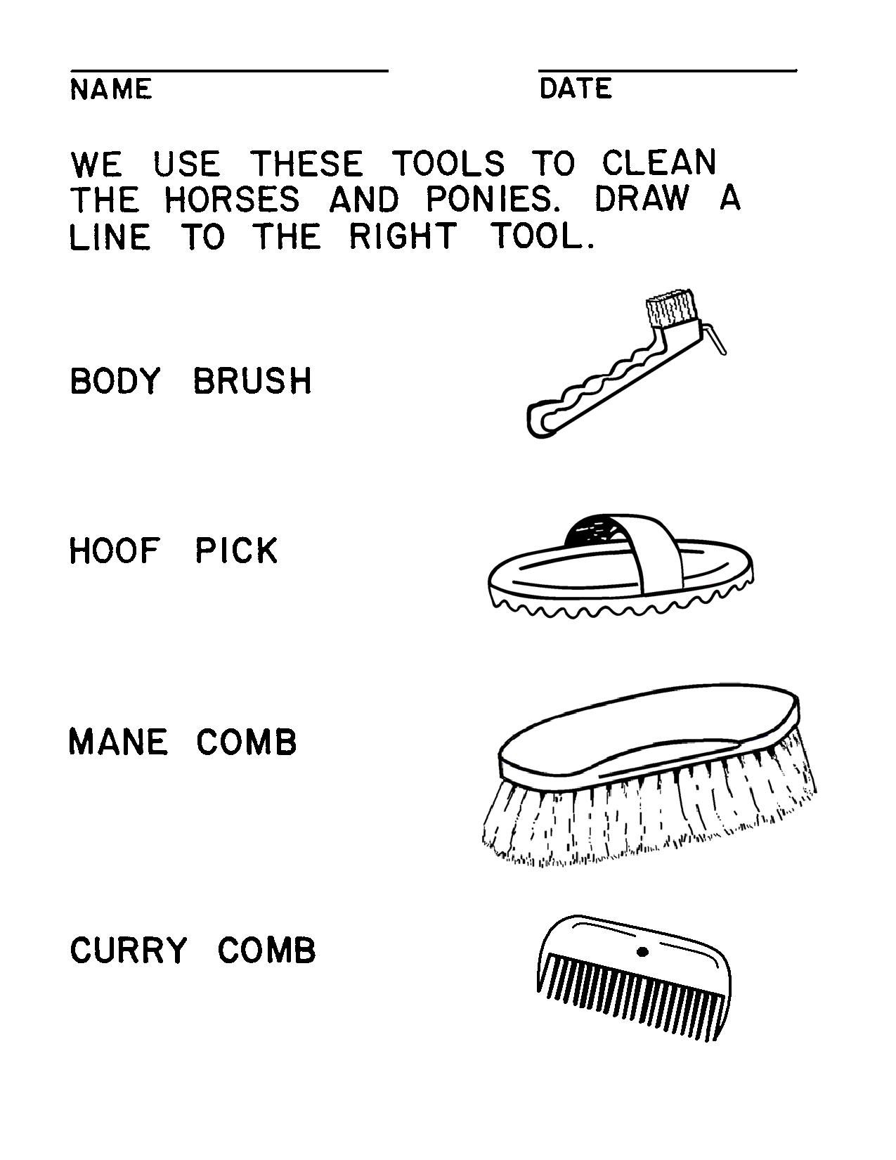310 Illustrations Handouts Ideas Horsemanship Horses 4 H Club 15 Horse Grooming Worksheets