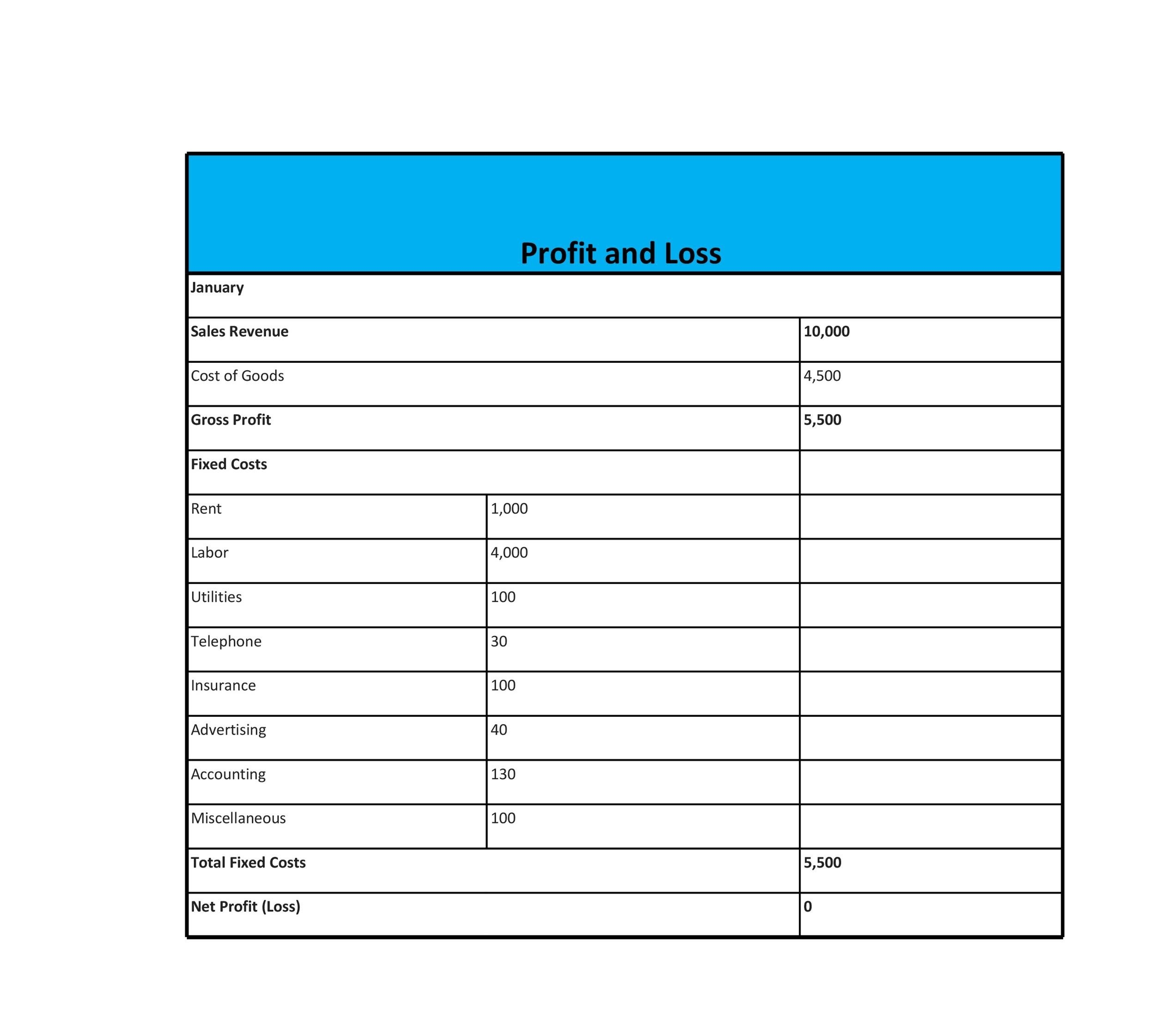 53 Profit And Loss Statement Templates Forms Excel PDF