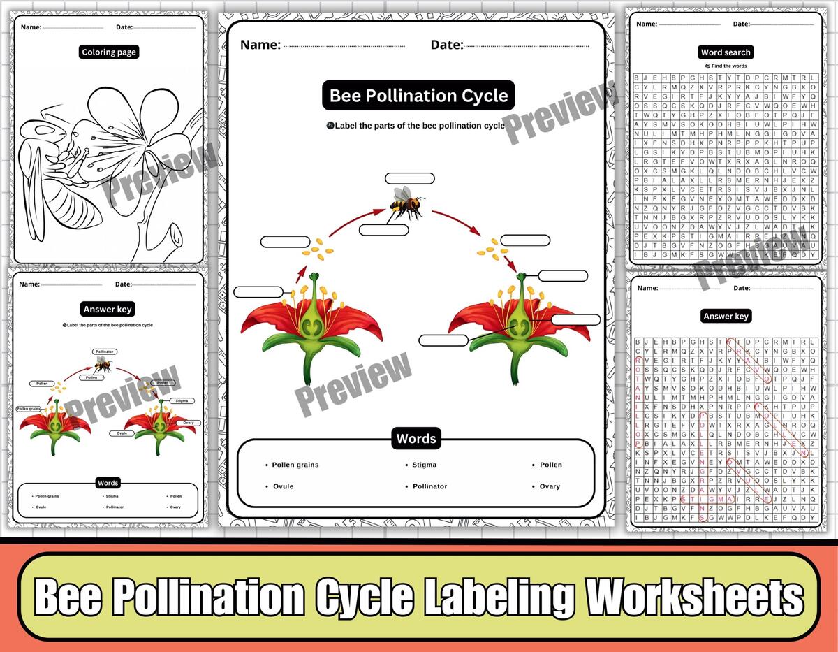 Pollination STEM Activity Around The Kampfire