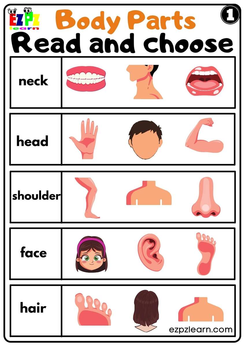 Free Printable Body Parts Word Recognition Worksheet For Preschool
