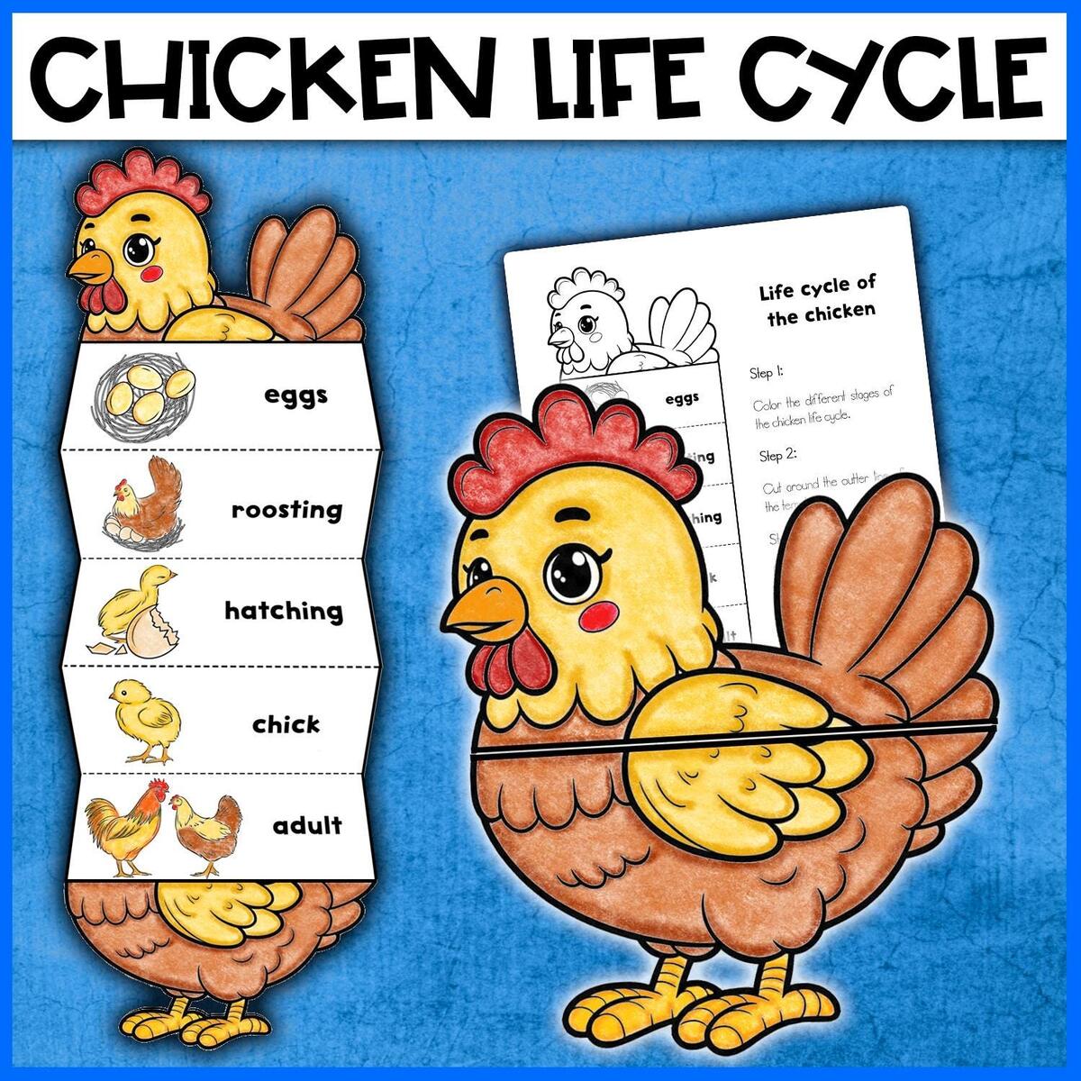 Chicken Life Cycle Activity Chicken Craft Foldable Template Life Cycle Of A Chicken Hen Craft Activity Etsy Chicken Life Cycle Activity Chicken Craft Foldable Template Life Cycle Of A Chicken Hen Craft Activity Etsy
