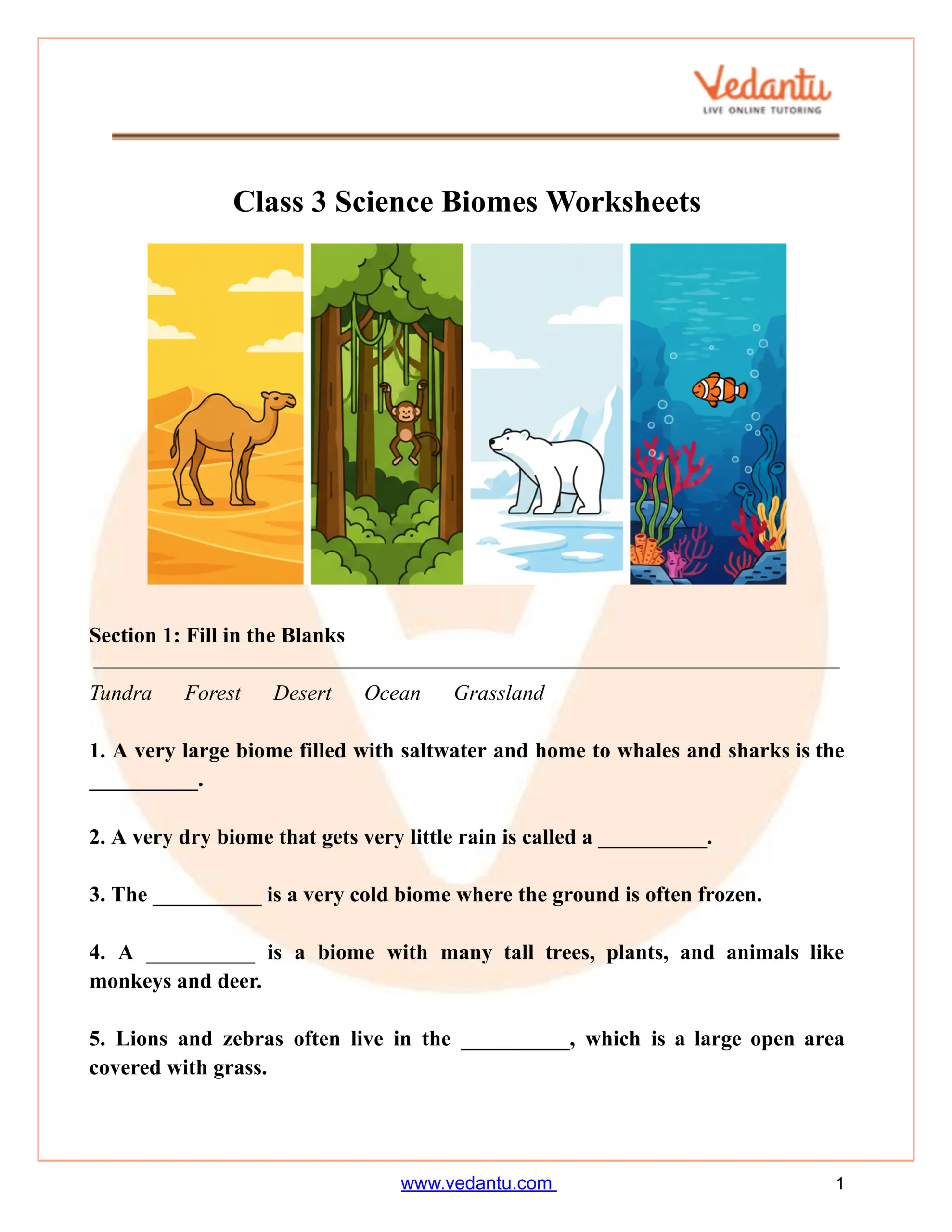Class 3 Science Biomes Worksheet Free Printable PDF
