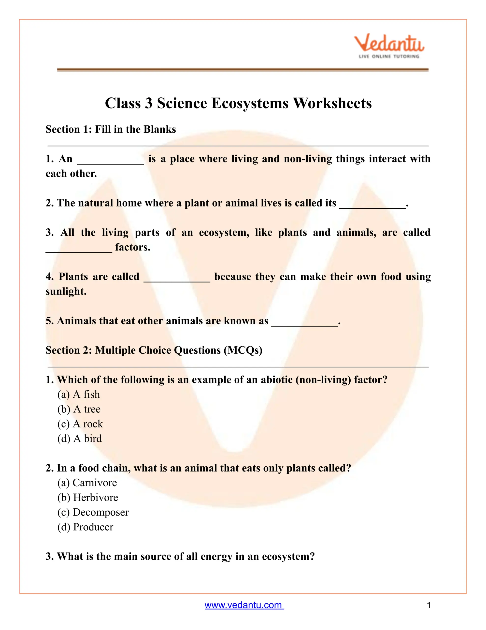 Free Science Worksheets The Nervous System Adanna Dill