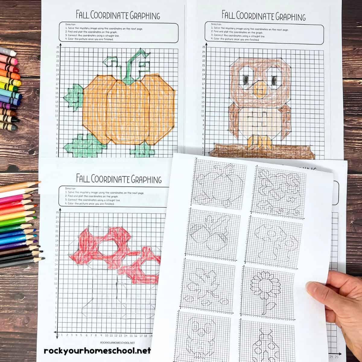 Free Coordinate Graphing Mystery Picture Worksheets PDF