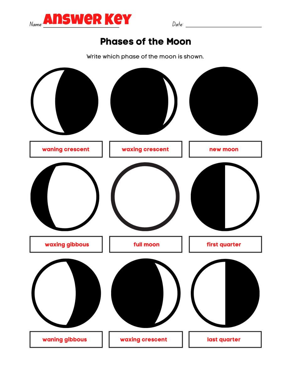 Easy Phases Of The Moon Worksheet Fun PDF Print Activity With Answer Key Etsy Finland