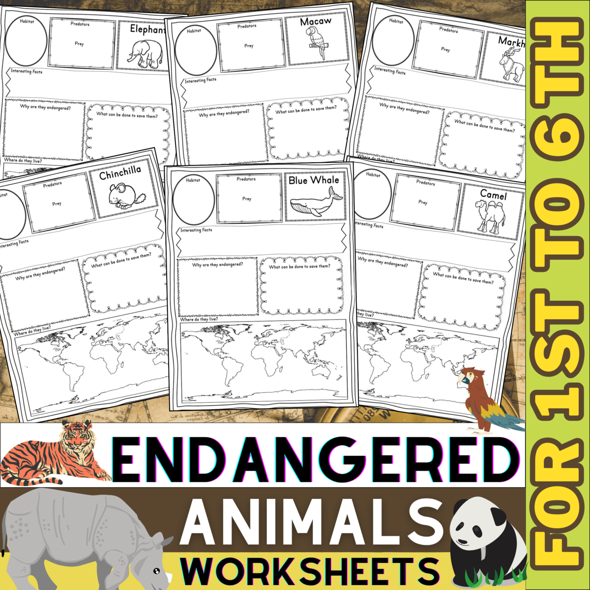 Endangered Animal Research Project Animals Worksheet Habitats And Adaptations Made By Teachers