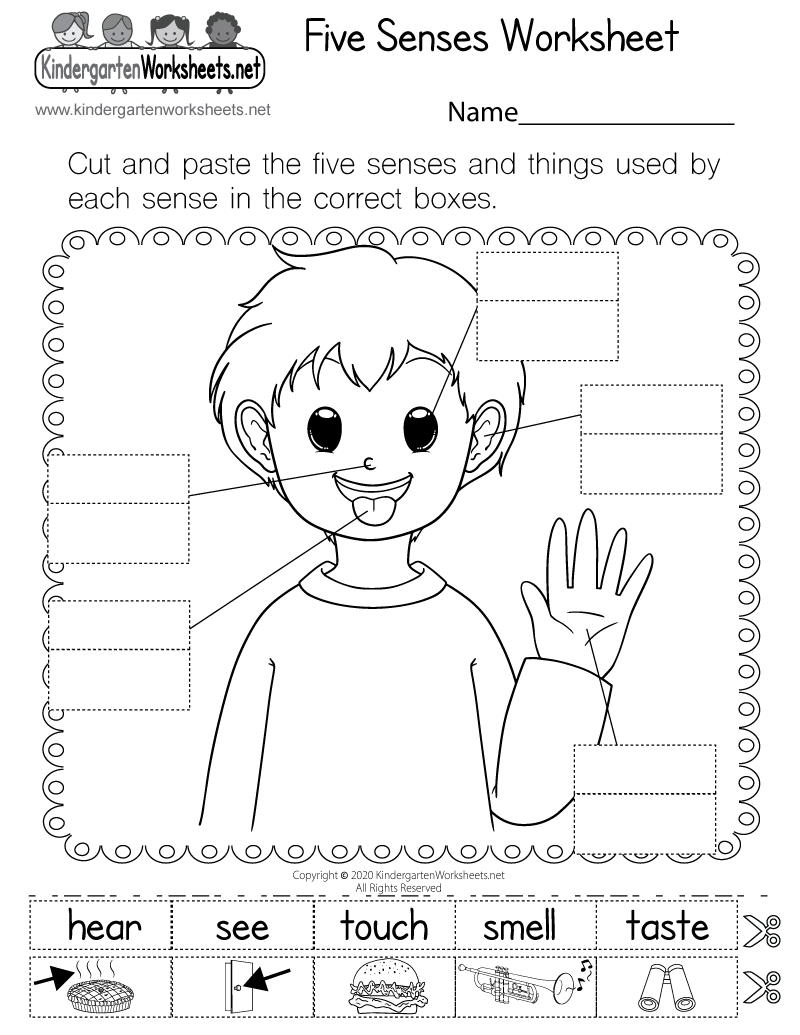 Five Senses Worksheet Free For Kindergarten And Grade 1
