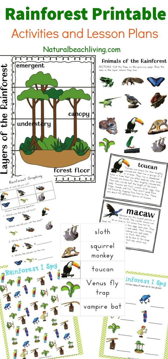 FREE Animals Of The Amazon Rain Forest Printables FREE Animals Of The Amazon Rain Forest Printables