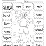 Free Printable Body Parts Game Worksheet