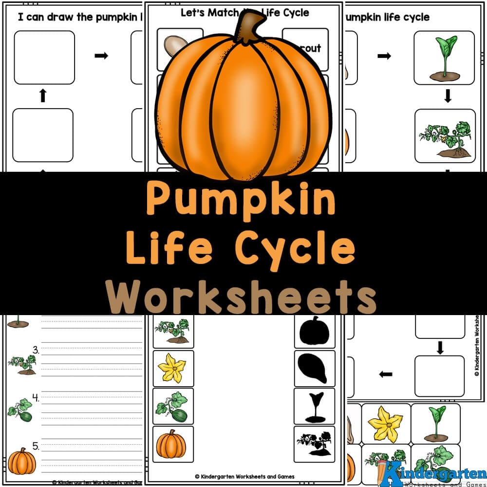 FREE Printable Pumpkin Life Cycle Worksheets For Kids Pumpkin Life Cycle Worksheets Mamas Learning Corner