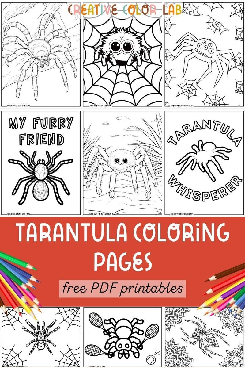 Free Printable Tarantula Coloring Pages Free Printable Tarantula Coloring Pages