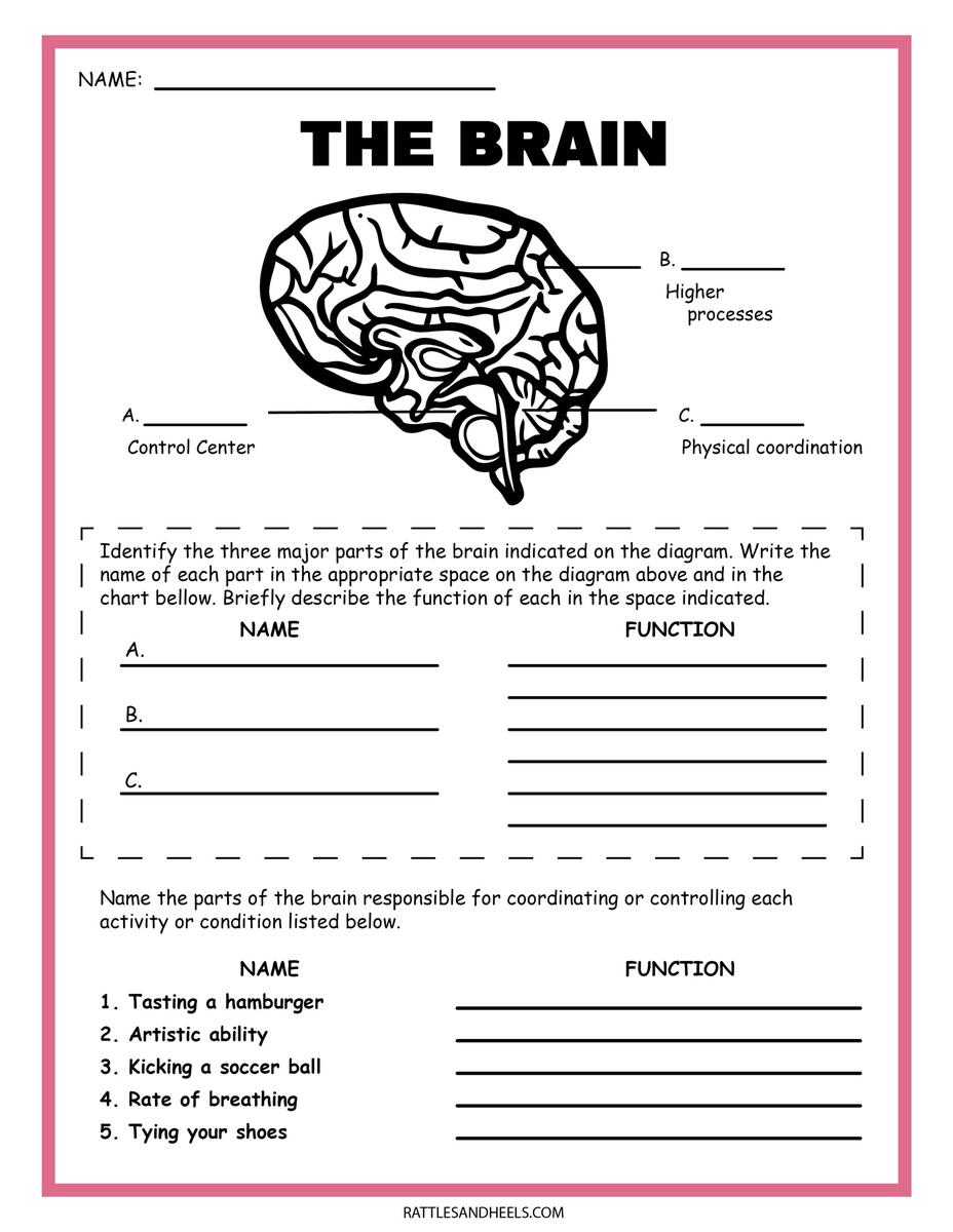 5th Grade Water Cycle Worksheets Printable