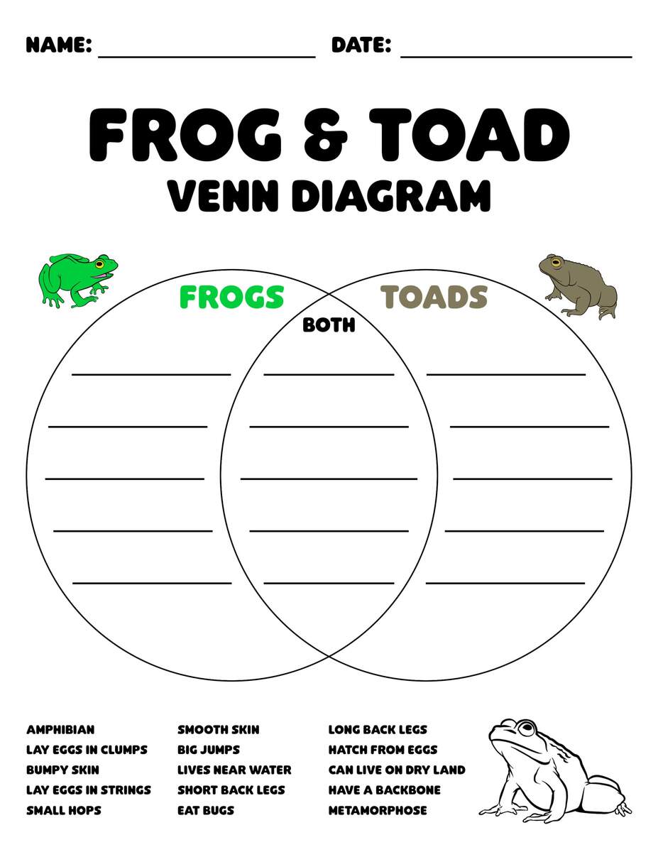Frog Vs Toad Venn Diagrams For Kids Teens Mr Amphibian