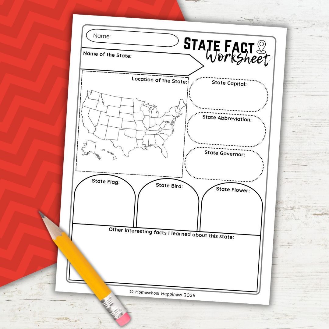 Fun Educational State Facts Worksheet For Kids Fun Educational State Facts Worksheet For Kids