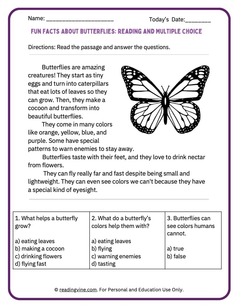 Fun Facts About Butterflies ReadingVine