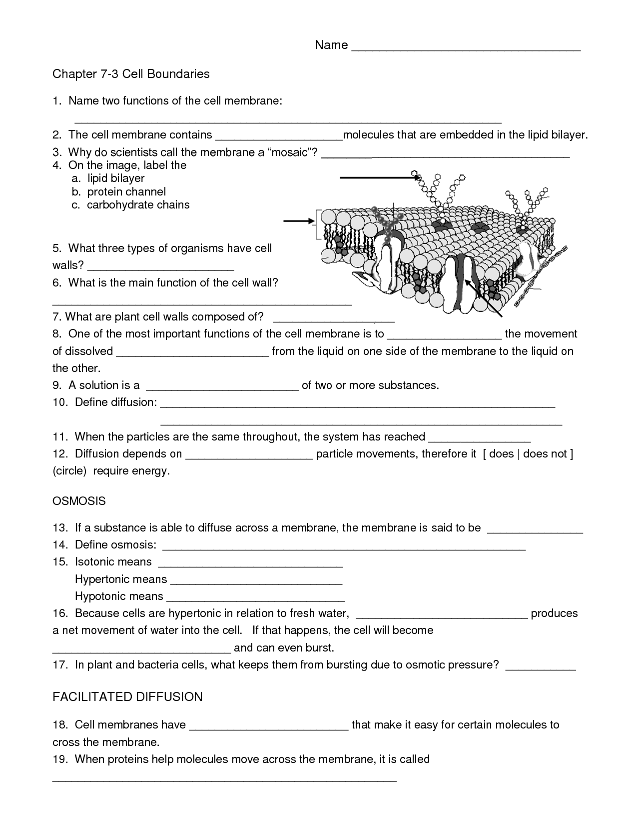Grade 8 Worksheets Integrated Science Worksheets Library 8th Grade Science Crossword WordMint