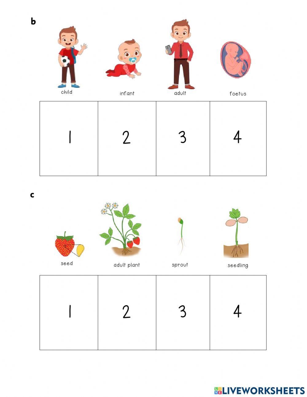 How Do You Grow And Change Worksheet Worksheets Library