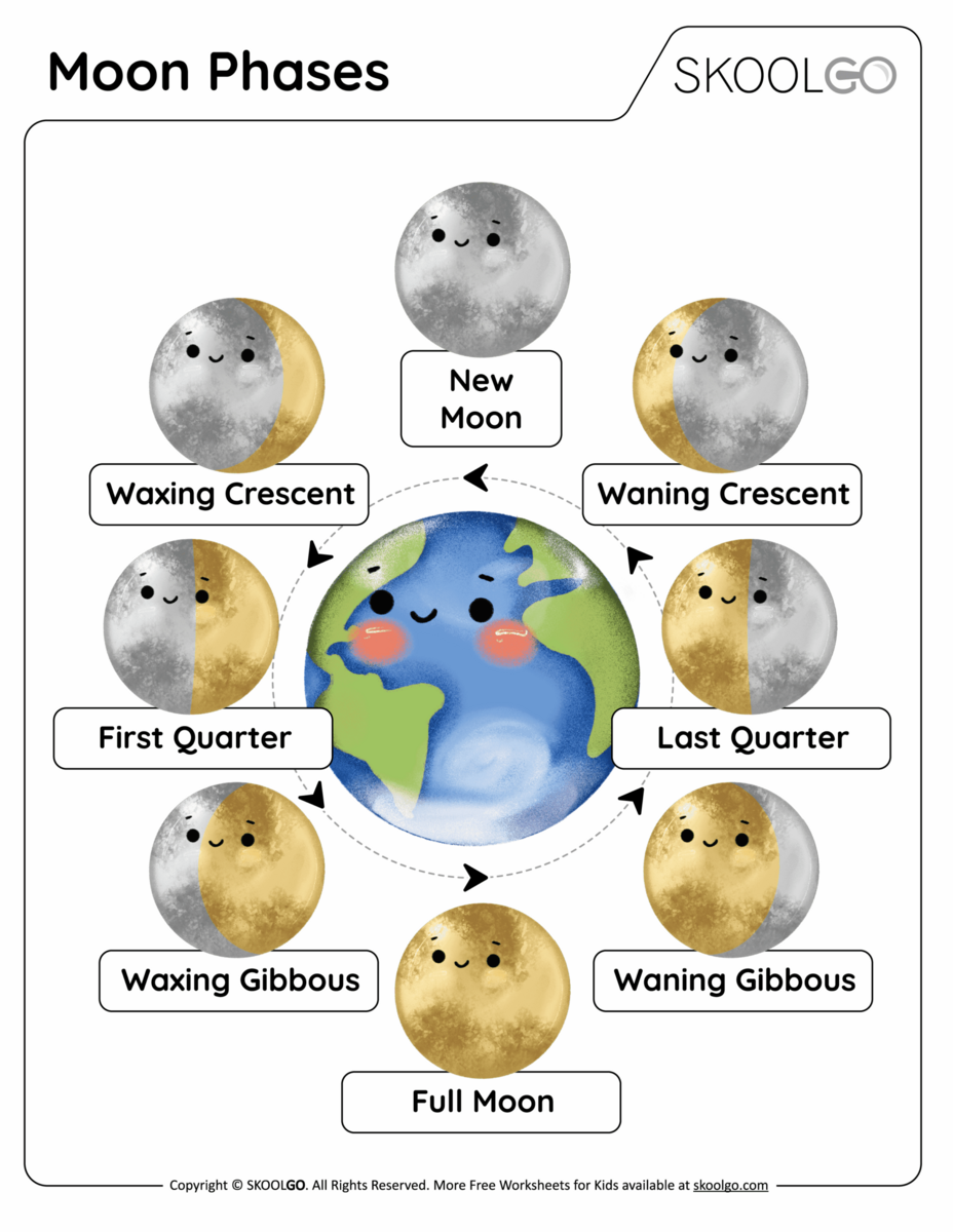 Easy Phases Of The Moon Worksheet Fun PDF Print Activity With Answer Key Etsy Finland