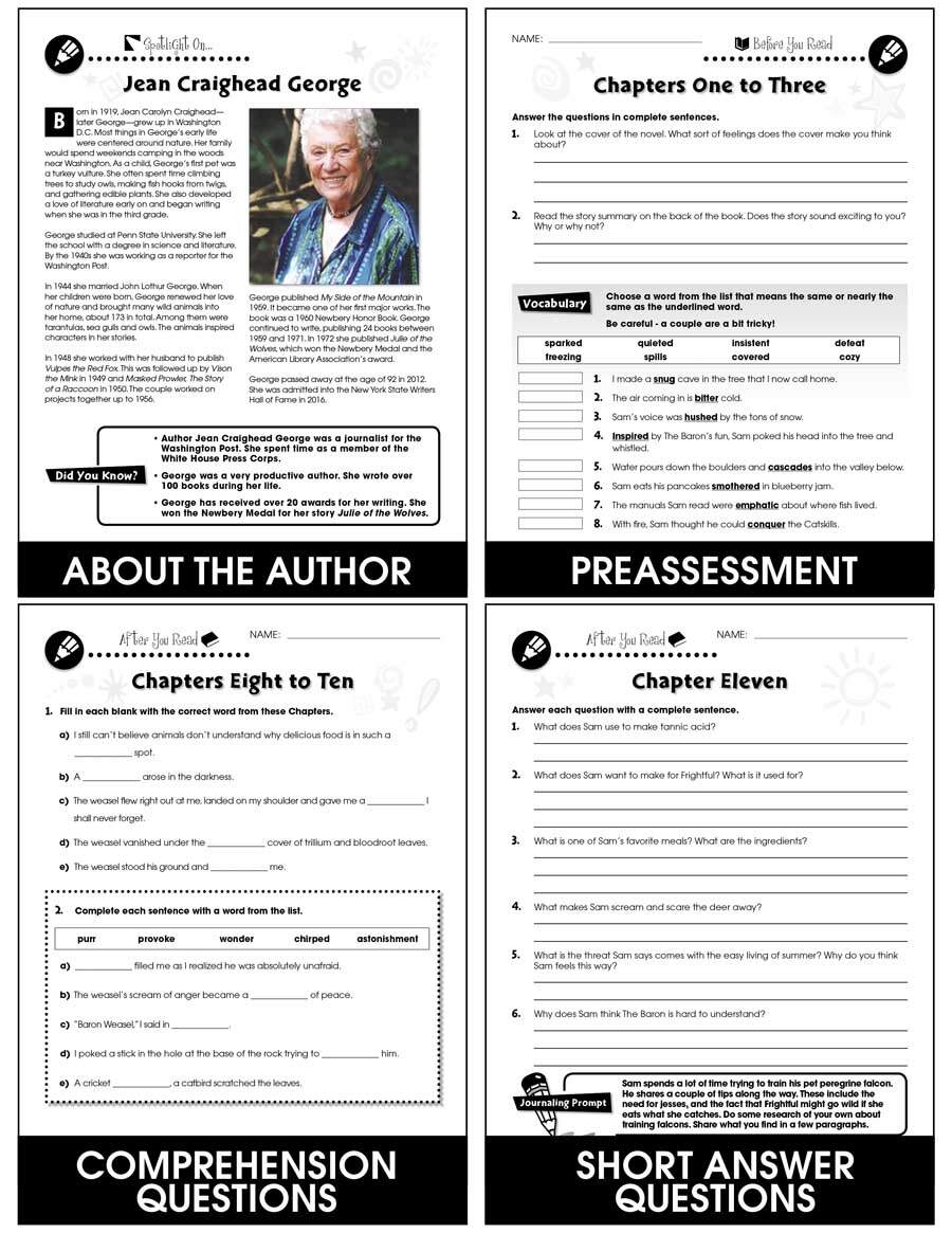 My Side Of The Mountain Literature Kit Gr 5 6 By Teach Simple