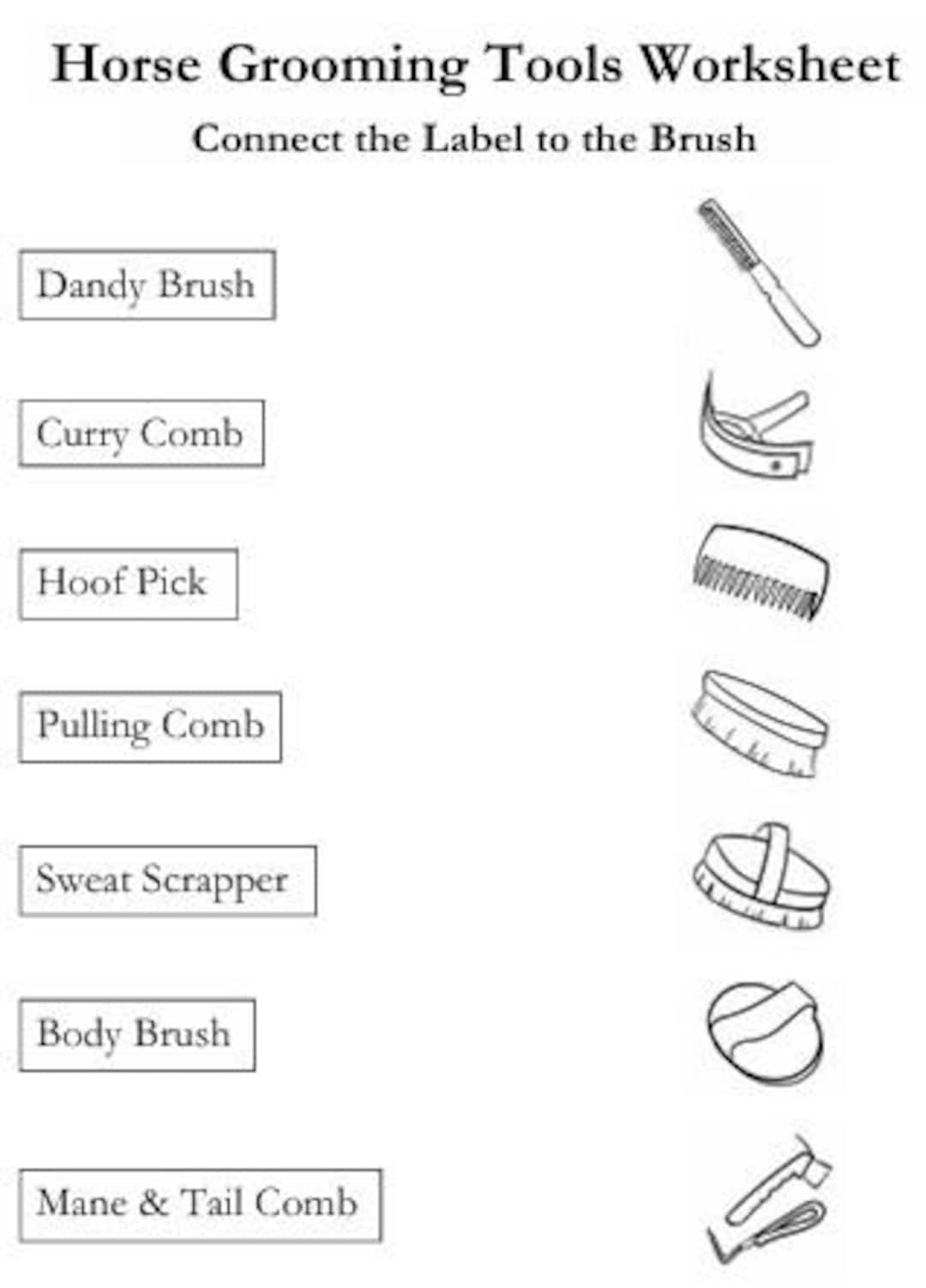 PRINTABLE Horse Grooming Tools Worksheet Etsy