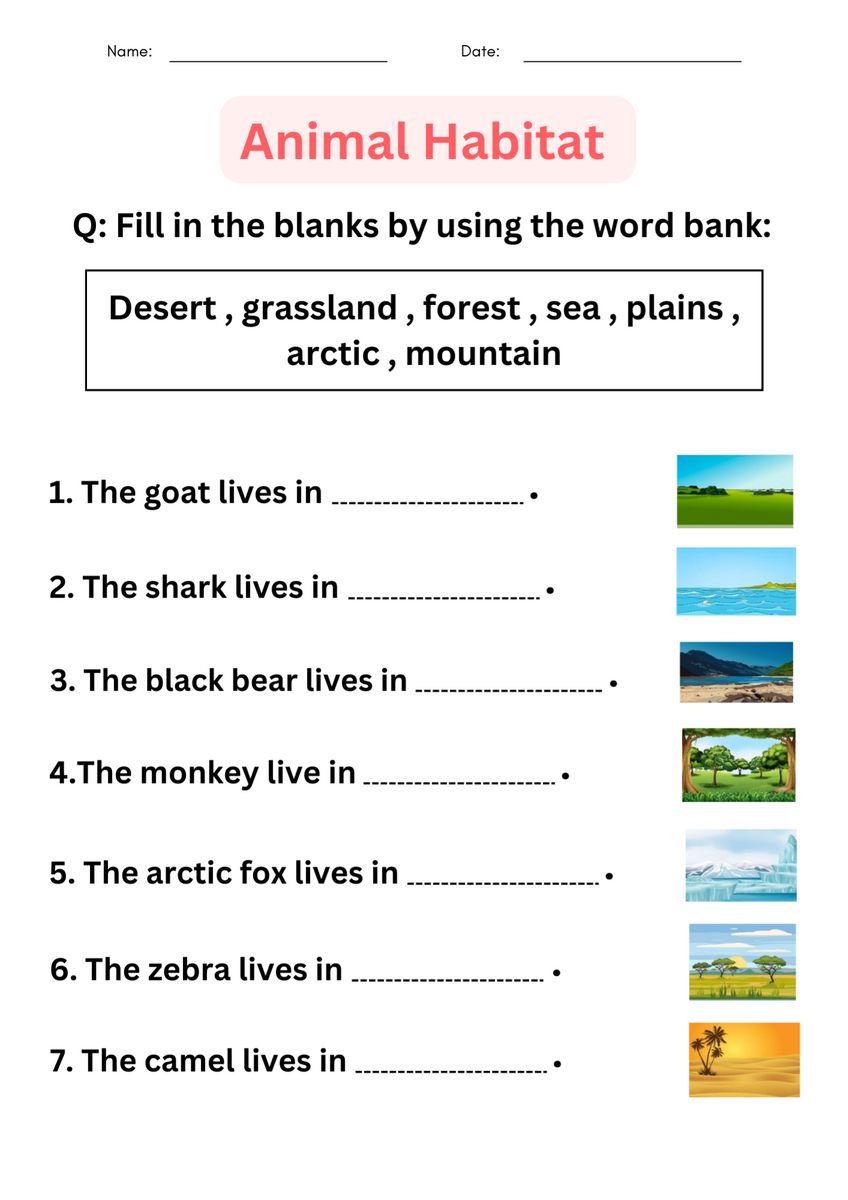 Printable Matching Activity Animal Habitats Worksheets For Grade 1 2 3 Made By Teachers