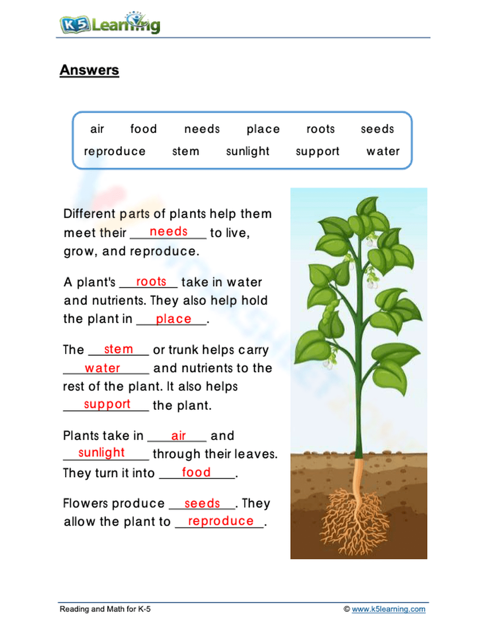 Printable Stages Of Seed Germination Worksheets Printable Stages Of Seed Germination Worksheets