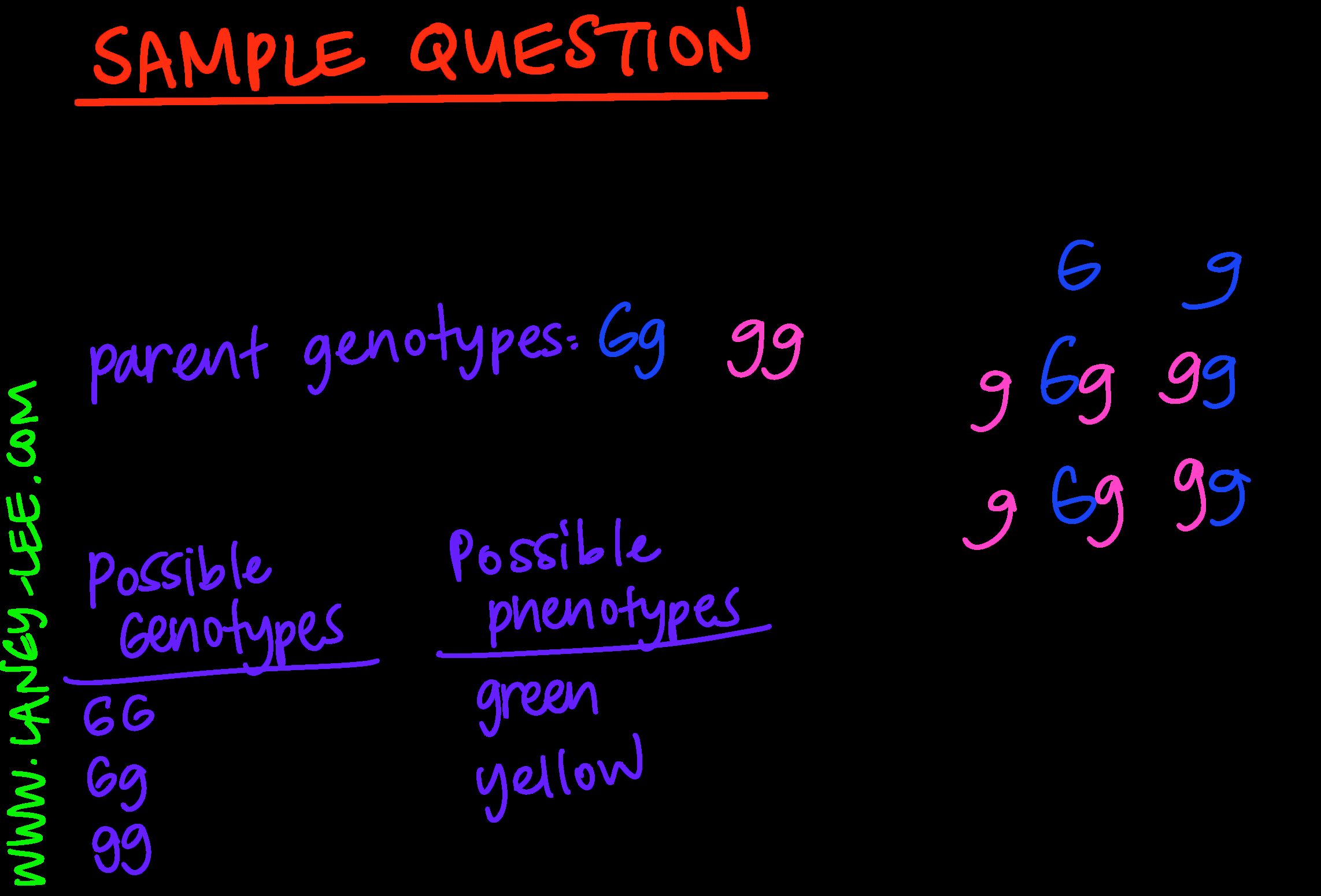 Punnett Square Practice Laney Lee Heredity And Punnett Squares Activities For Middle School Science