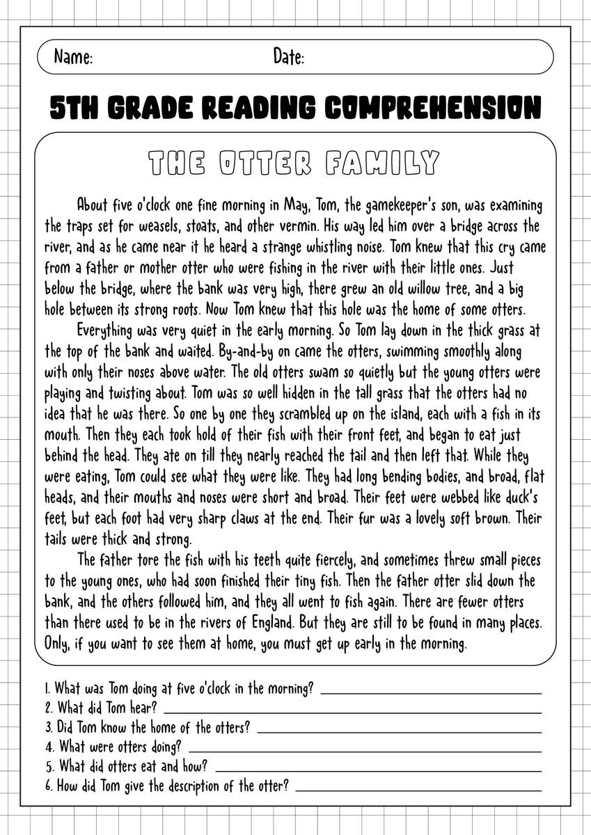 Reading Comprehension 5th Grade Reading Comprehension 5th Grade