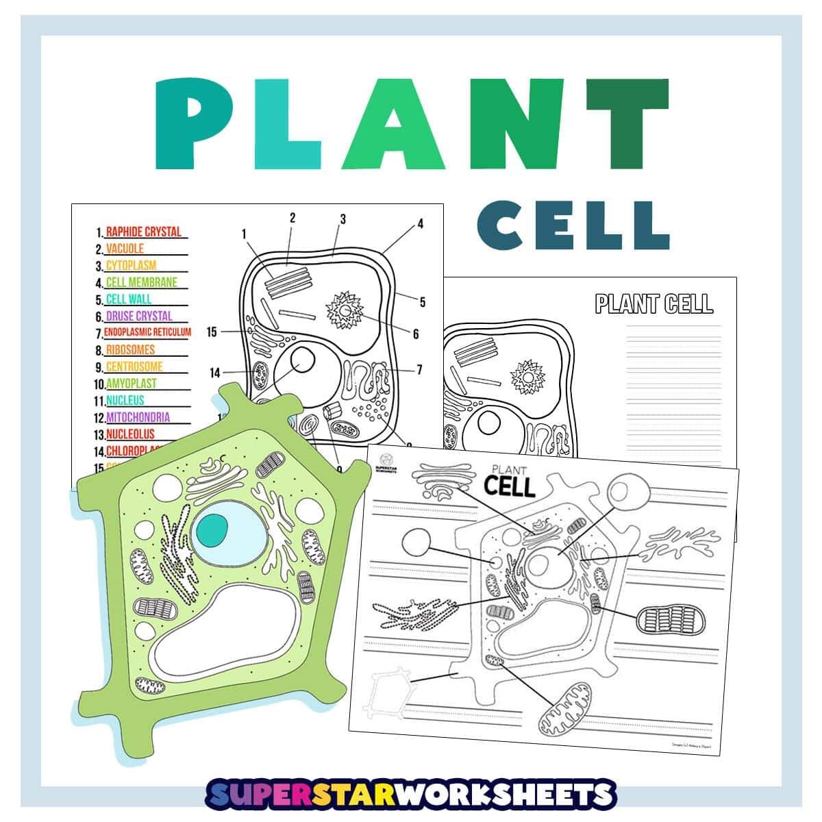 Science Worksheets Superstar Worksheets