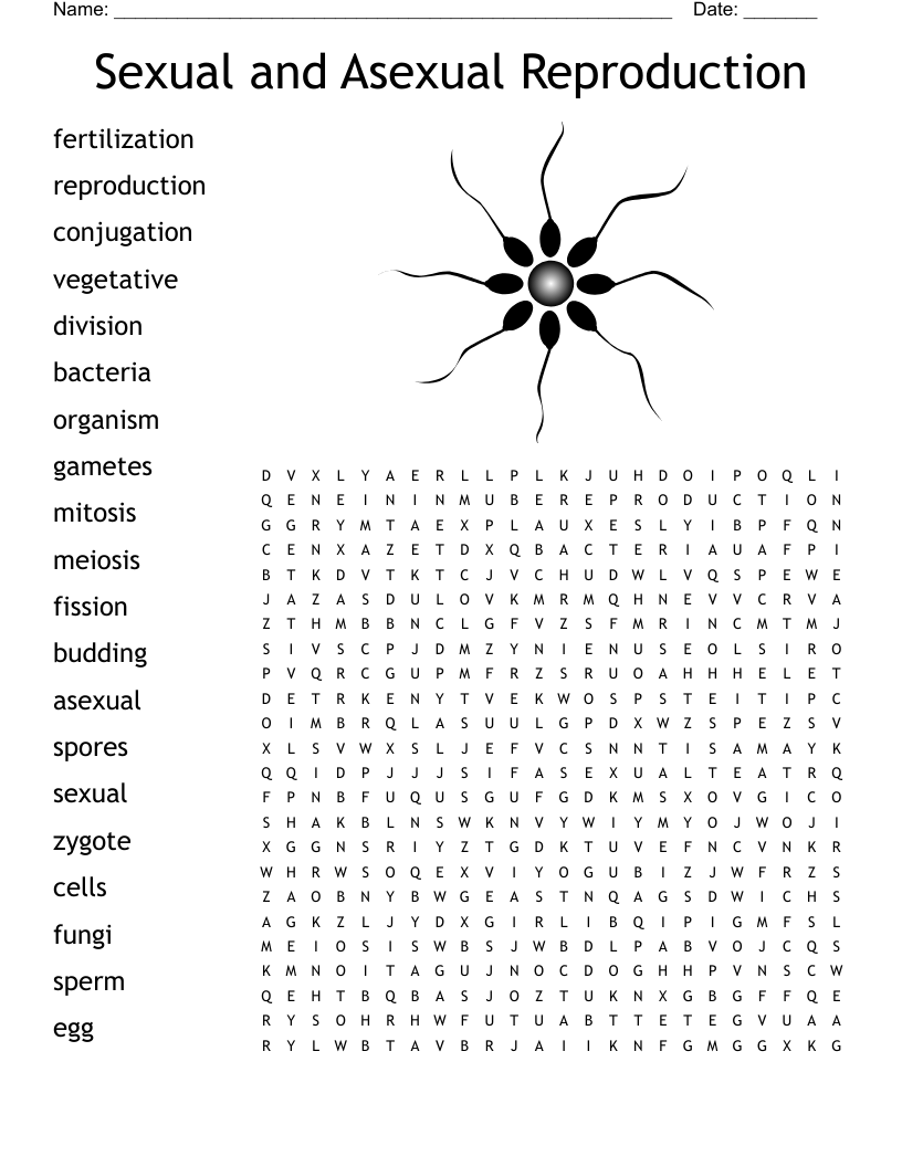 Sexual And Asexual Reproduction Word Search WordMint