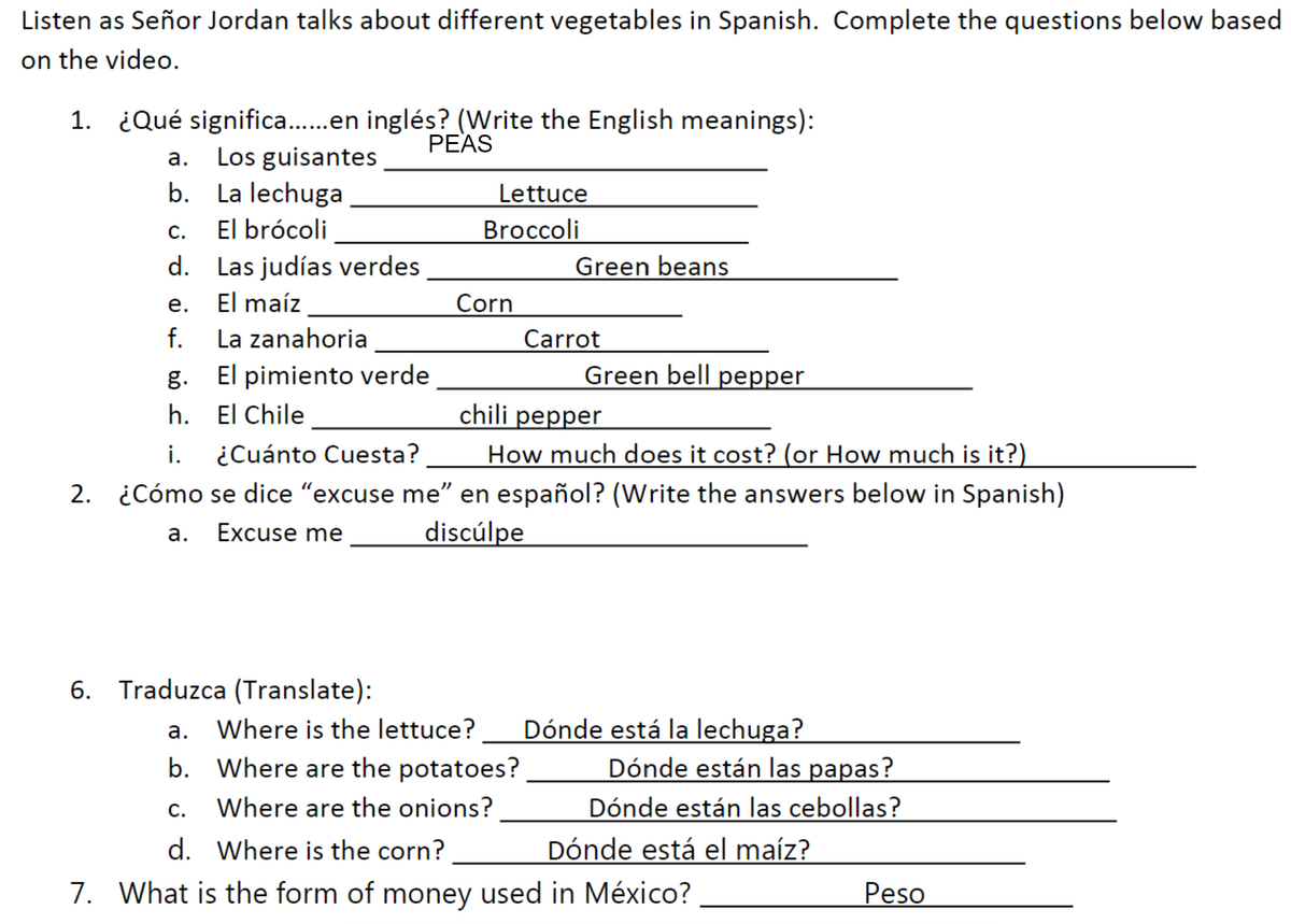 Spanish 1 Easy Peasy All In One High School