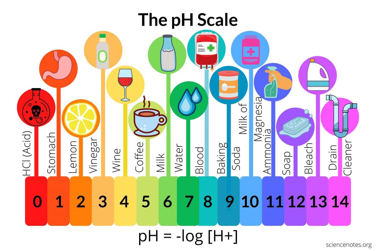 The PH Scale Of Common Chemicals The PH Scale Of Common Chemicals